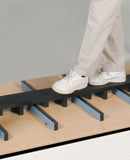 Hausmann Model 1398 Patented Mobility Platform with Electric Height Bars