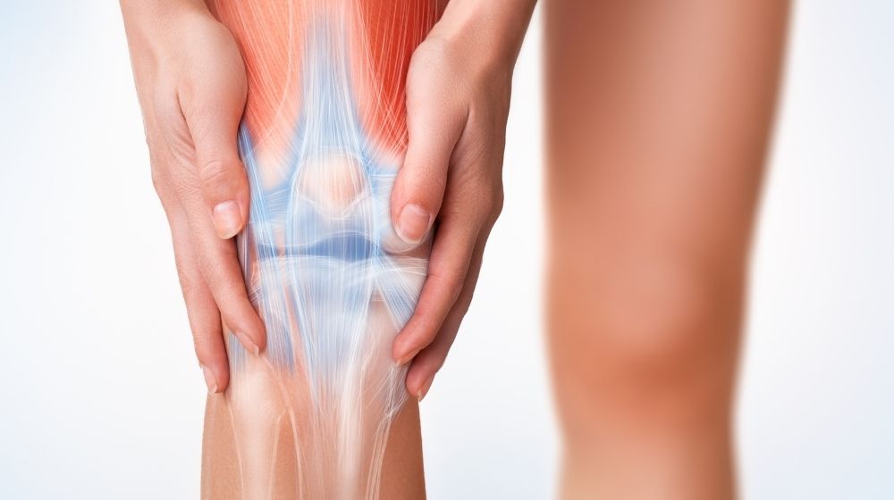 The Guide to Meniscus Tears - Total Rehab Solutions