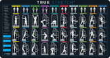 TRUE Stretch Cage Pro - Commercial Stretching Station - Total Rehab Solutions