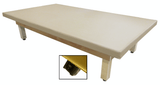 Bailey Economy Series Electric High/Low Mat Tables - Total Rehab Solutions